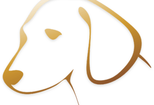 Estopinha a primeira influencer pet do Brasil