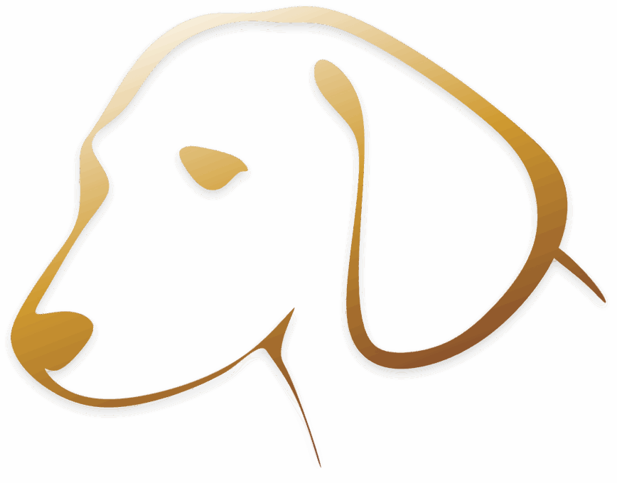 Estopinha a primeira influencer pet do Brasil