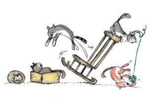 Como evitar acidentes domésticos com o seu pet