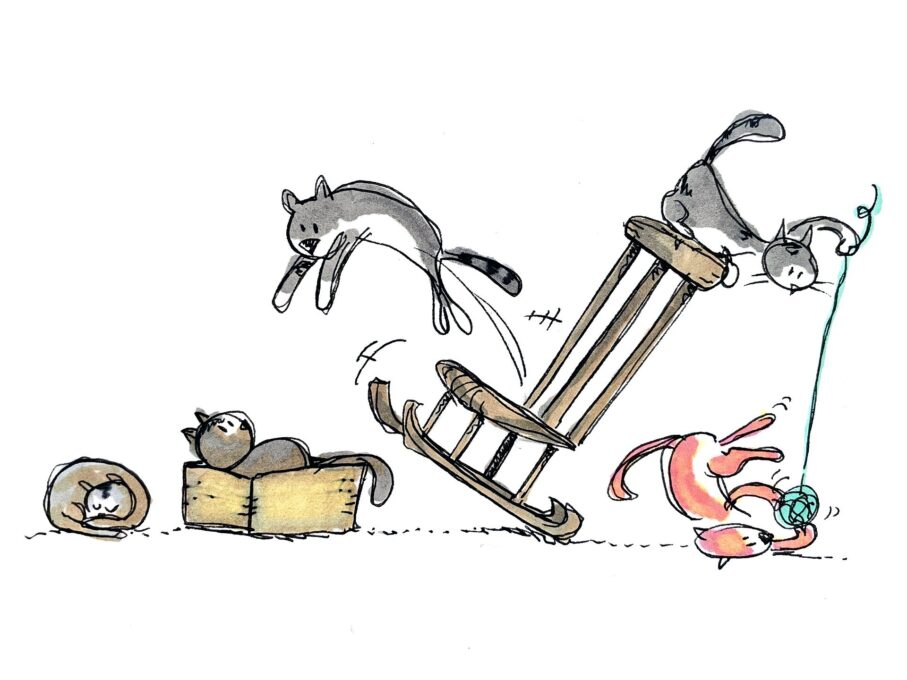 Como evitar acidentes domésticos com o seu pet