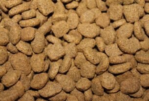 Finotrato vs. Pedigree - Qual Alimento é Melhor para o seu Cão