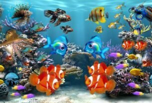 Qual o Melhor Peixe para se Ter em Aquário