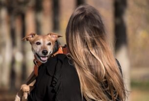 Conheça 06 Sinais que Mostram que Seu Cão te Ama Loucamente