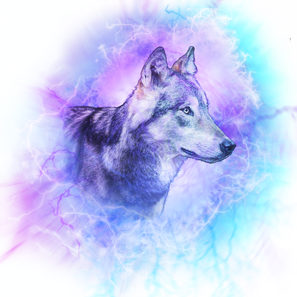 Por que Nunca se Deve Tingir o Pelo do Cachorro