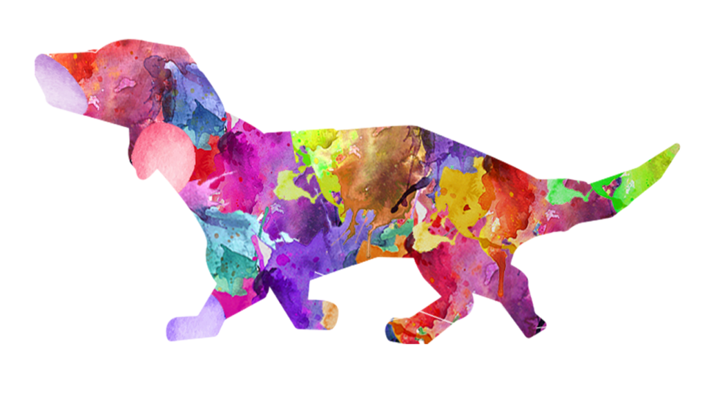 Por que Nunca se Deve Tingir o Pelo do Cachorro