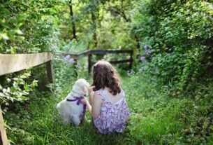 Amor e Carinho aos Pets Um Vínculo