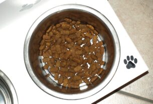 Explorando os Benefícios da Ração Premium