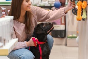 Origem dos Pet Shops História Fascinante
