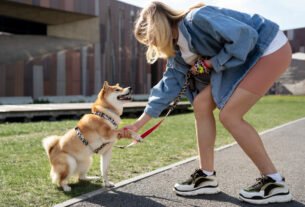 Treinamento e Comportamento de Pets
