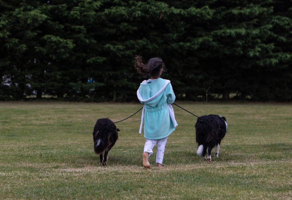 Como Encontrar um Bom Pet Sitter