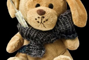 Sintomas Comuns da Gripe Canina