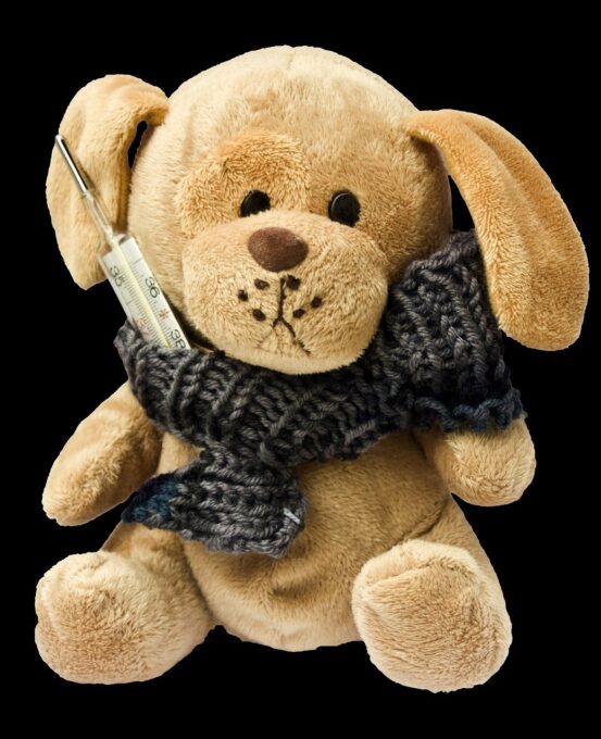 Sintomas Comuns da Gripe Canina