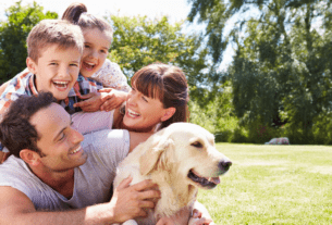 Cuidados com o Pet no Outono