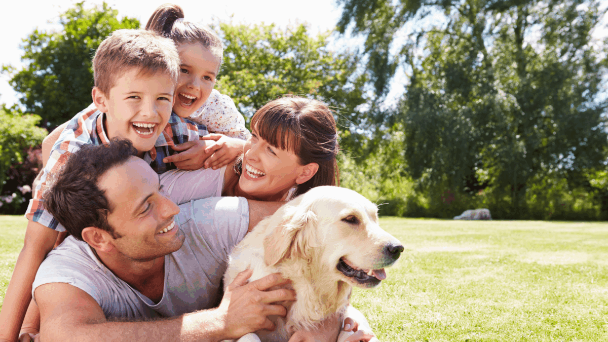 Cuidados com o Pet no Outono