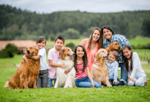 Os 5 Melhores Cachorros para Apartamento