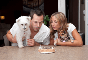 Por que pessoas consideram pets como filhos