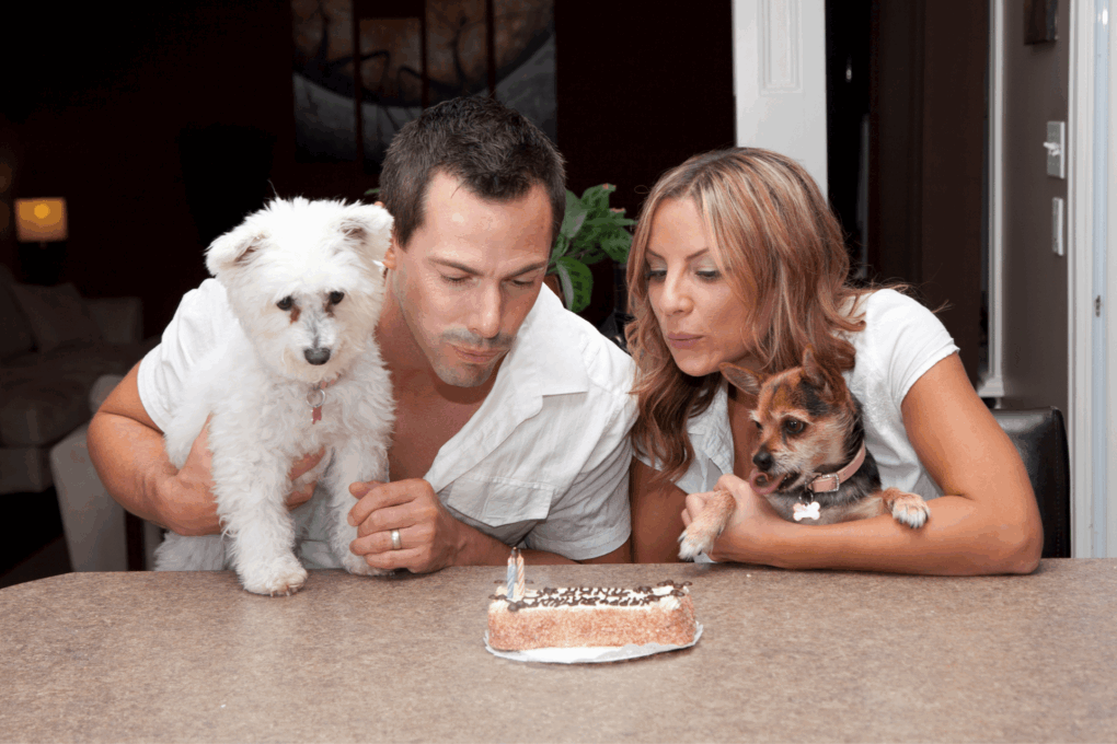 Por que pessoas consideram pets como filhos