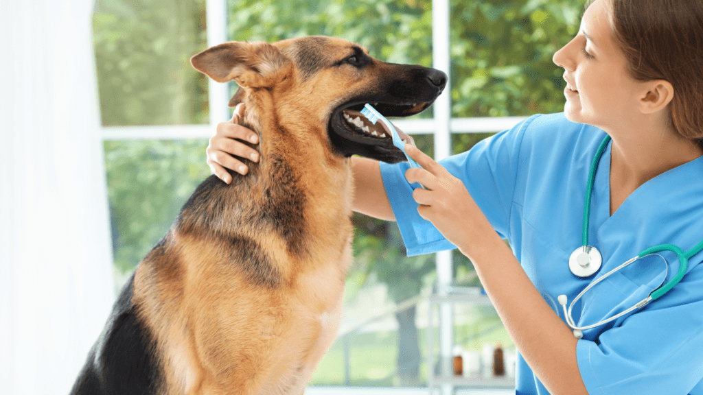 Benefícios da Escovação Dentária para Cães e Gatos