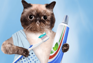 Benefícios da Escovação Dentária para Cães e Gatos