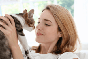 Urina de Gato Pode Transmitir Doença