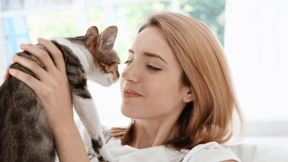 Urina de Gato Pode Transmitir Doença