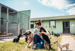 12 Maneiras de Ajudar Abrigos de Animais