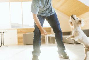 Como Evitar Pulos em Visitantes