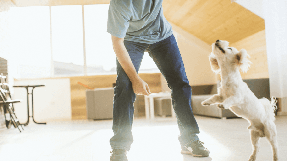 Como Evitar Pulos em Visitantes