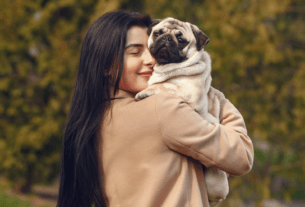 Conheça 12 Curiosidades sobre Pug