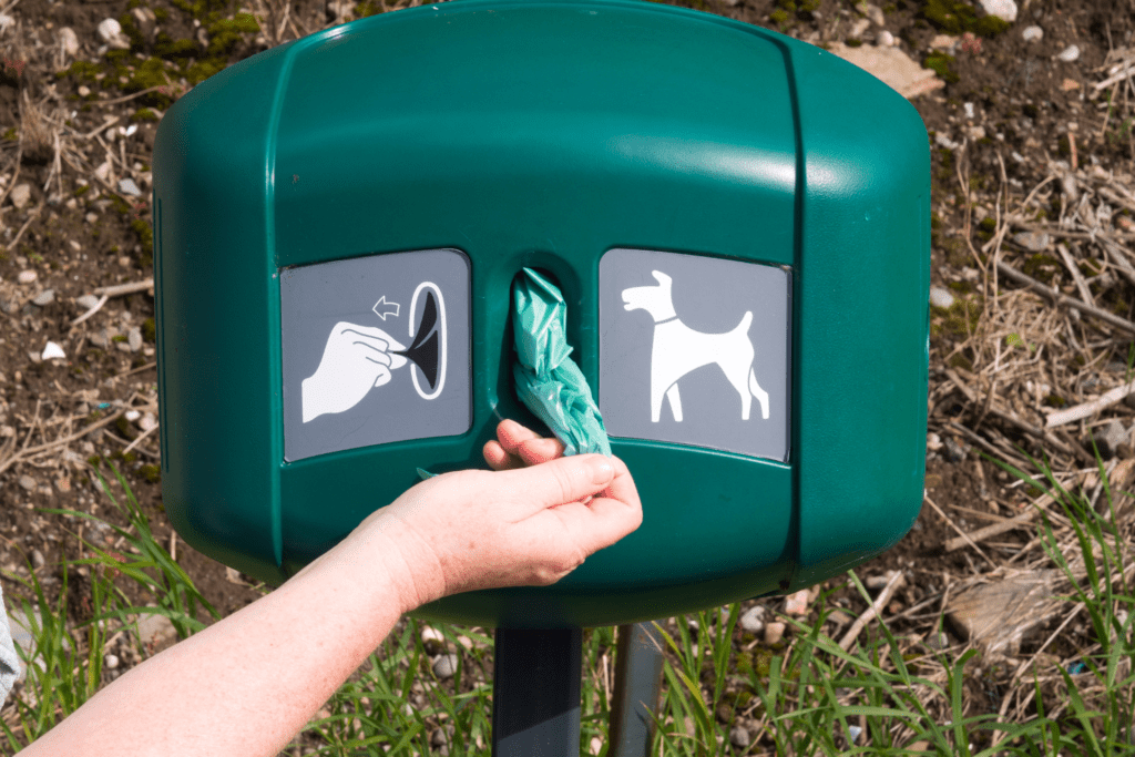 Não Recolher as Fezes dos Pets