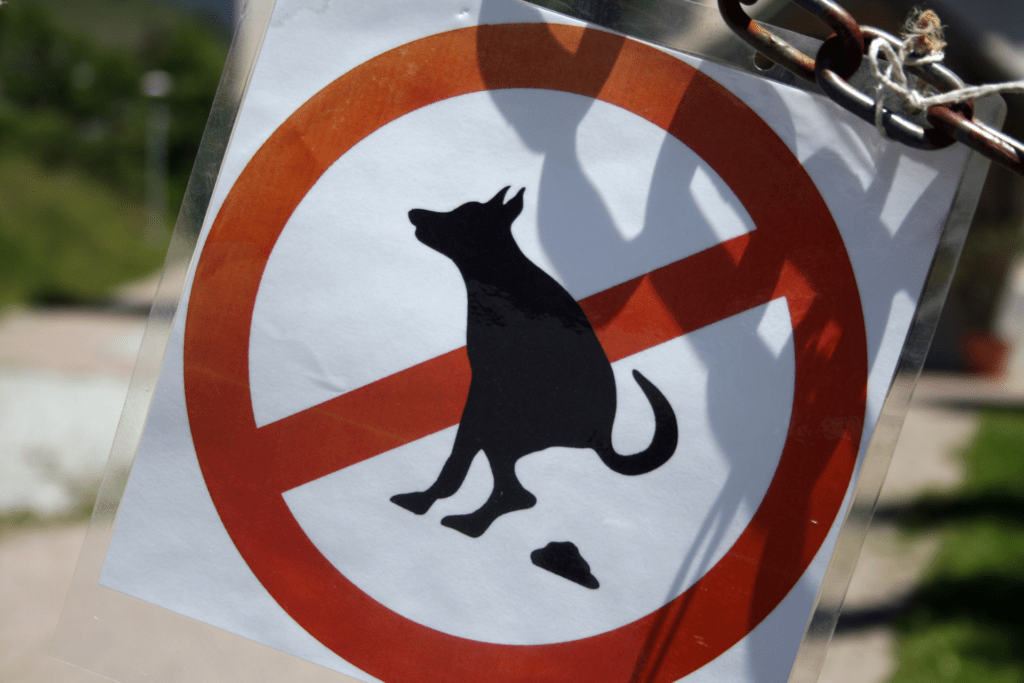 Não Recolher as Fezes dos Pets