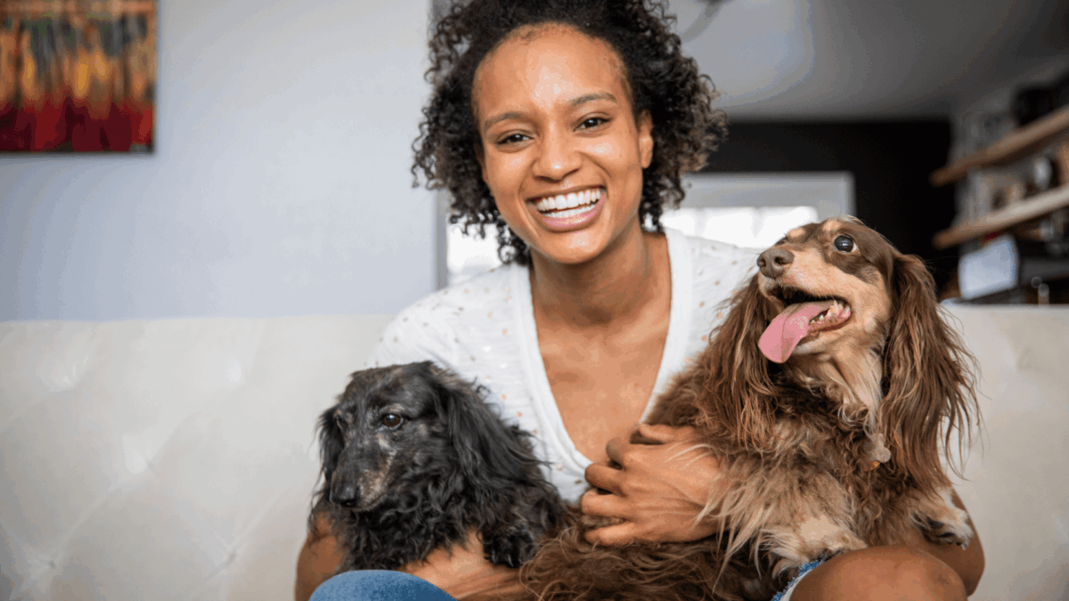 Amor e Carinhos aos Pets