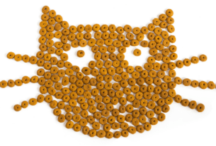 Qual a Melhor Ração para Não Cair Pelo de Gato