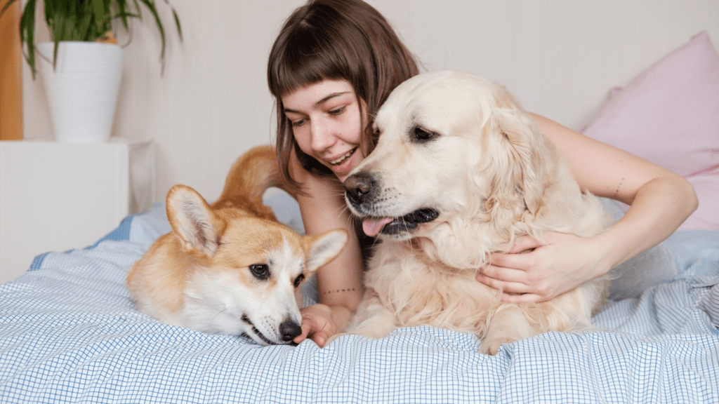 Dia Internacional da Mulher e os Pets Uma Conexão Especial