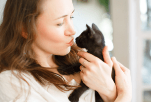 Quando um Gato Entra na Sua Vida!