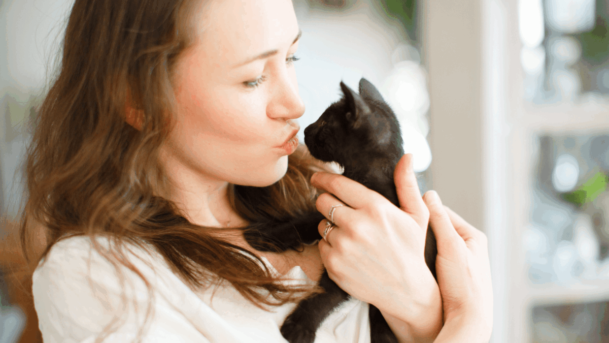 Quando um Gato Entra na Sua Vida!