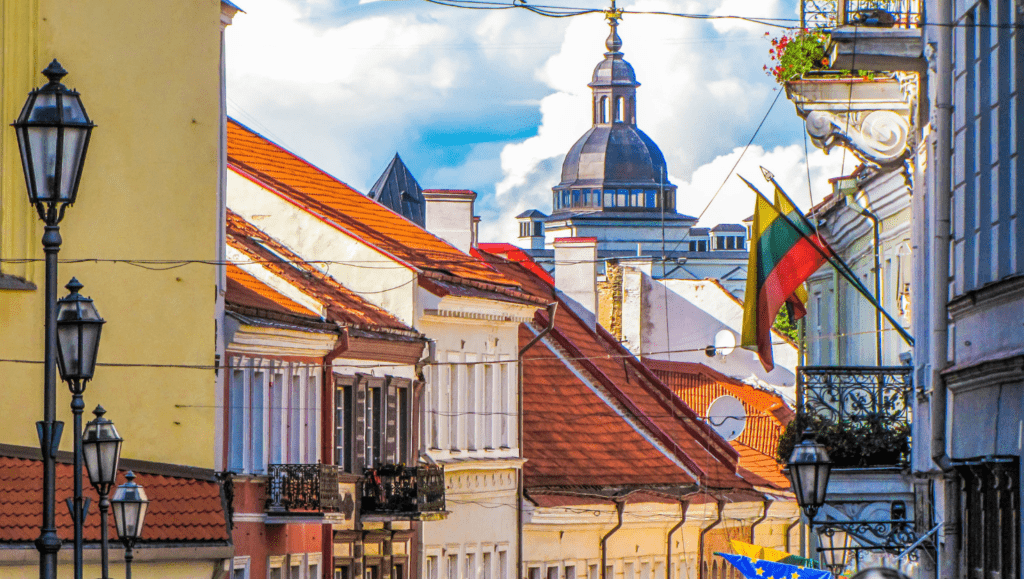 Vilnius A Cidade que Recompensa a Adoção de Animais com Incentivos Fiscais