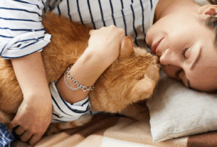 32 Dicas Seu Gato Te Ama 