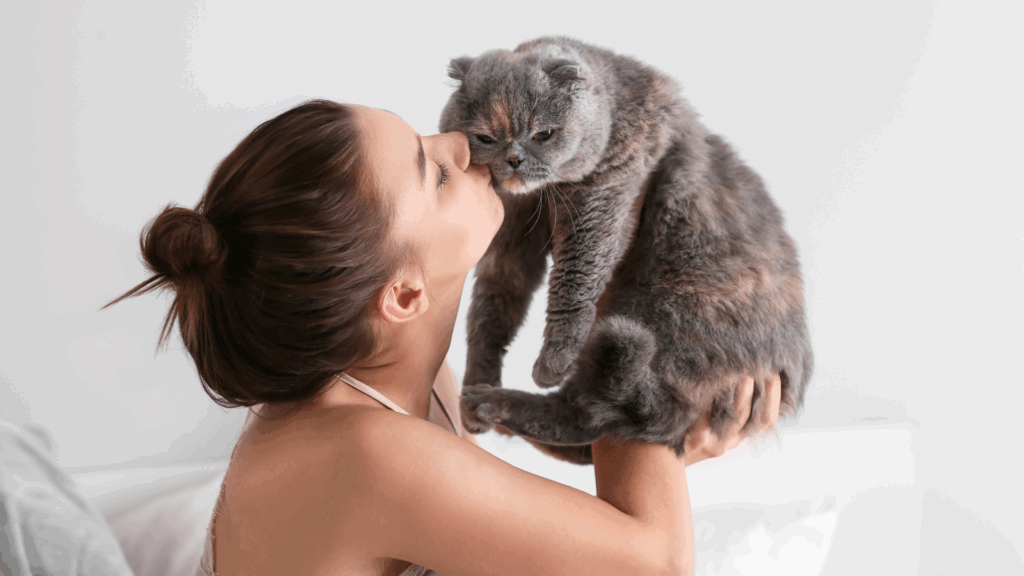 Como o gato diz eu te amo?