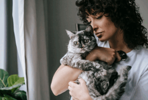 Como o gato diz eu te amo?