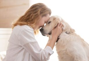 6 Benefícios da Suplementação para Animais Idosos