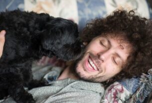 Cuidados Shih Tzu Tutores Precisam Saber