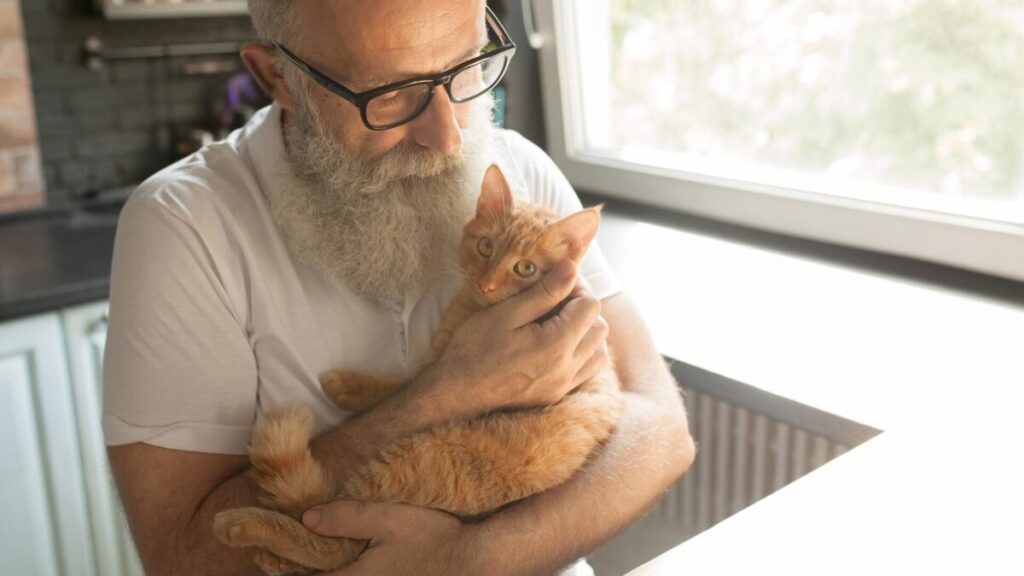 Idoso deixará fortuna a quem cuidar com amor de sua gata