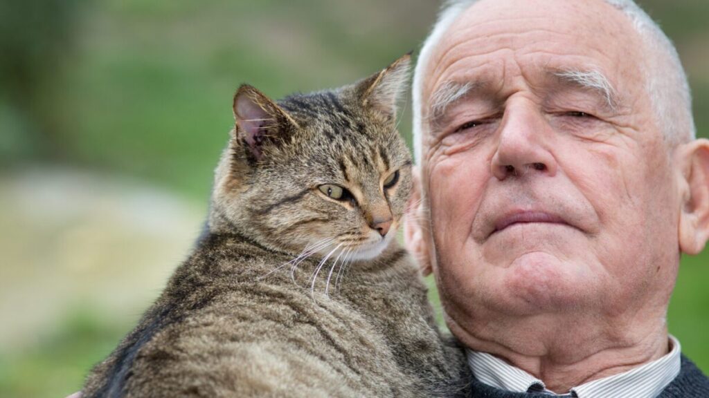 Idoso deixará fortuna a quem cuidar com amor de sua gata