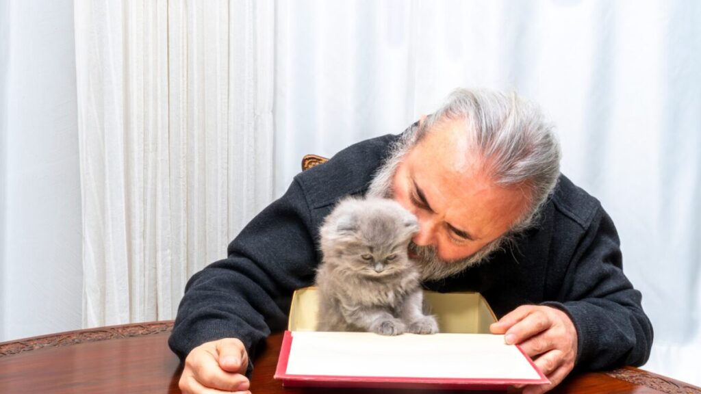 Idoso deixará fortuna a quem cuidar com amor de sua gata