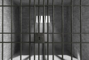 Gato condenado à “prisão domiciliar” Rémi