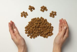 Qual a Melhor Ração Para Shih Tzu