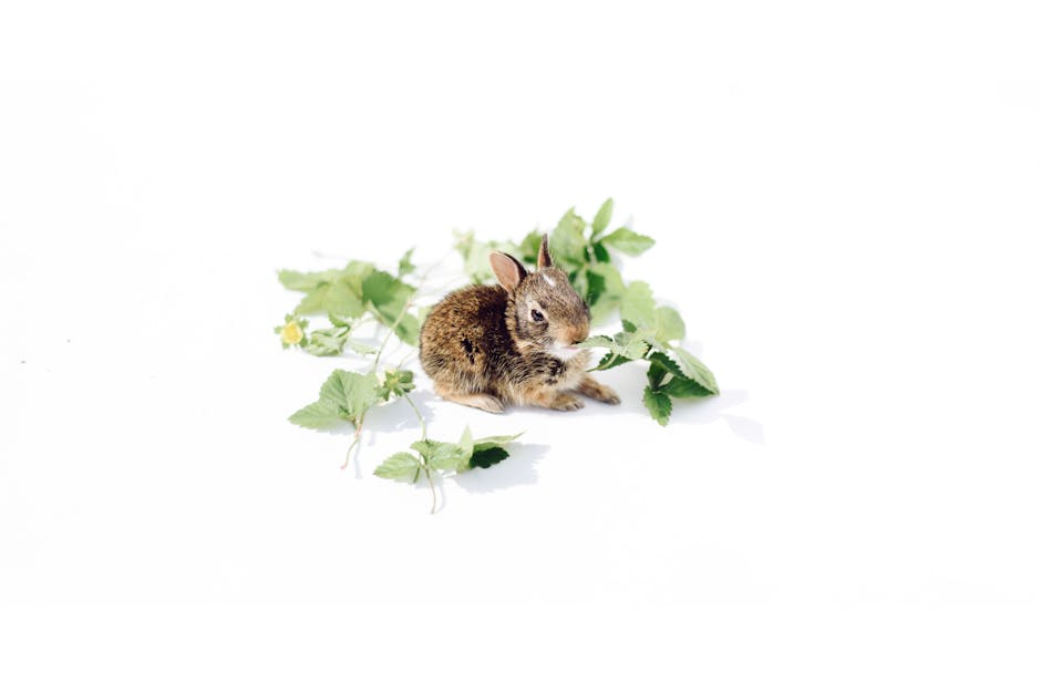Adorable rabbit surrounded by green leaves on a white background, a perfect spring scene.