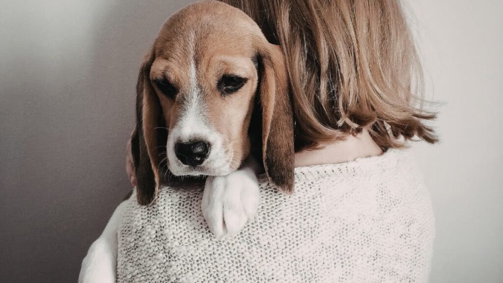 Qual tipo de tutor é você?