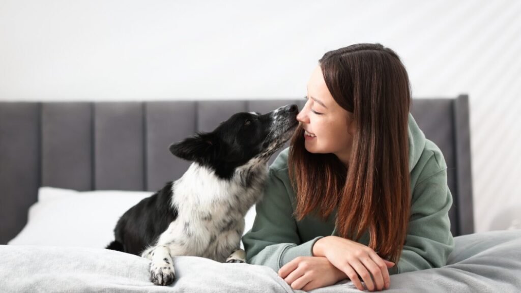 Qual tipo de tutor é você?